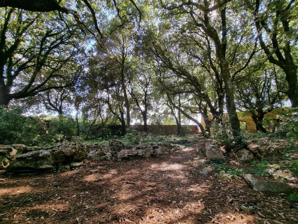 Agriturismo Iazzo Scagno Martina Franca Bagian luar foto