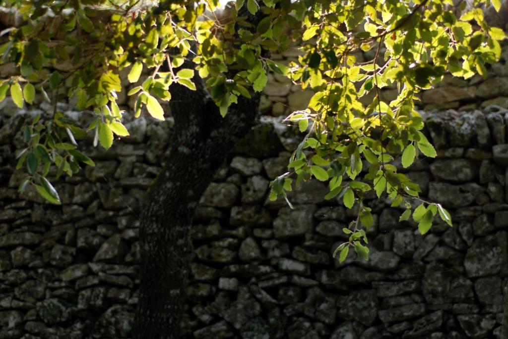 Agriturismo Iazzo Scagno Martina Franca Bagian luar foto