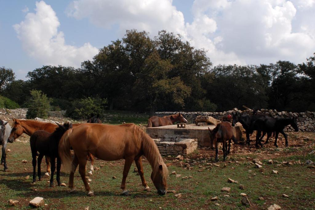 Agriturismo Iazzo Scagno Martina Franca Bagian luar foto