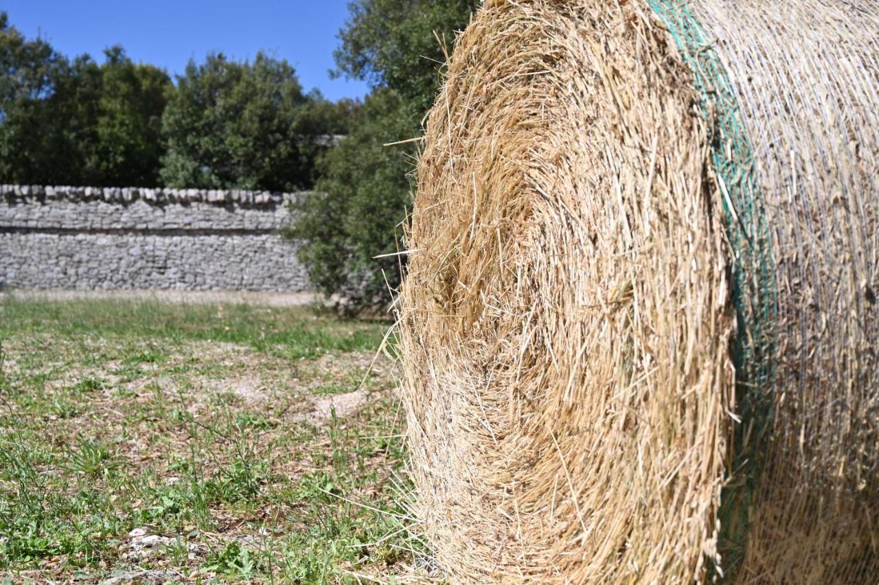 Agriturismo Iazzo Scagno Martina Franca Bagian luar foto